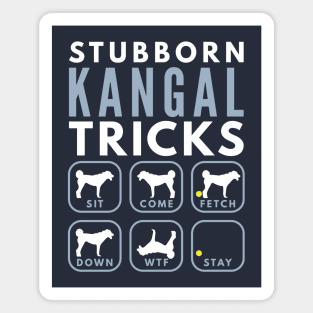 Stubborn Anatolian Shepherd Dog Tricks - Dog Training Magnet